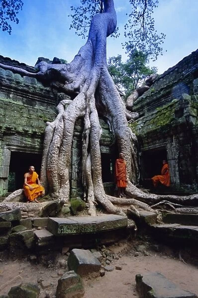 Monks in the Ta Prohm Temple, Angkor, UNESCO World Heritage Site, Siem Reap