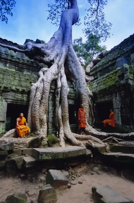 Framed Print : Monks in the Ta Prohm Temple, Angkor, UNESCO World Heritage Site, Siem Reap Framed Print : Monks in the Ta Prohm Temple, Angkor, UNESCO World Heritage Site, Siem Reap