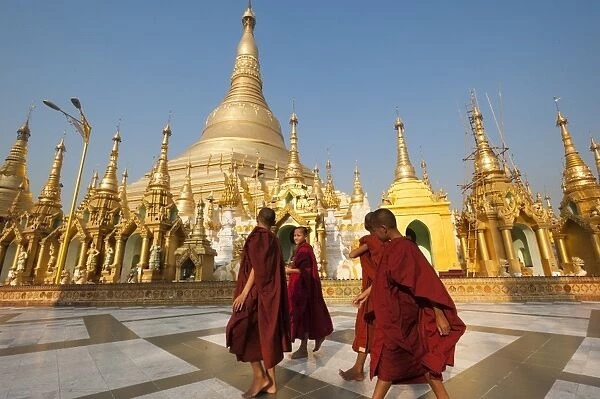 Monks walk around Shwedagon Pagoda, Yangon (Rangoon), Myanmar (Burma), Asia