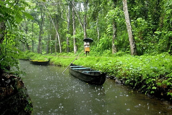 Monsoon rain, Kerala, India, Asia