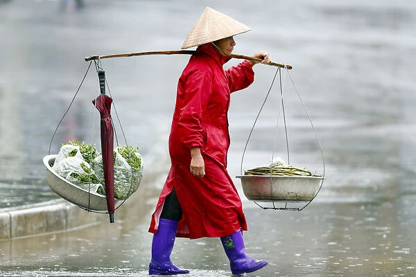 Monsoon (rainy) season, Sapa, Vietnam, Indochina, Southeast Asia, Asia