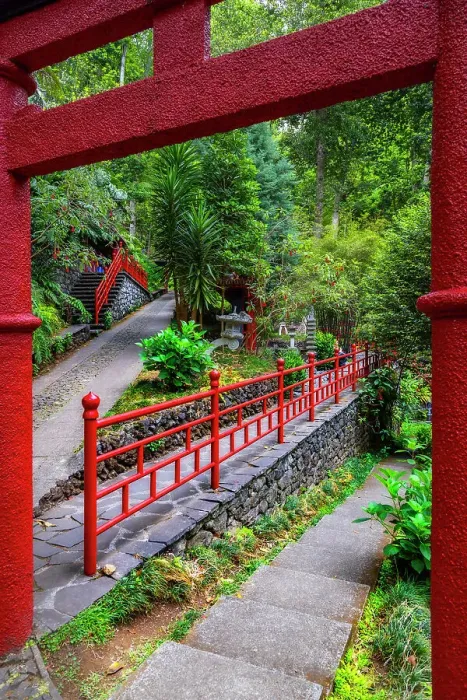 Framed Print : Monte Palace Tropical Garden, Funchal, Madeira, Portugal, Atlantic, Europe Framed Print : Monte Palace Tropical Garden, Funchal, Madeira, Portugal, Atlantic, Europe