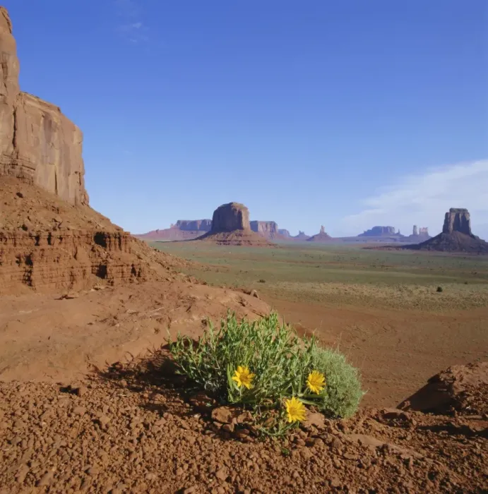Framed Print : Monument Valley Framed Print : Monument Valley