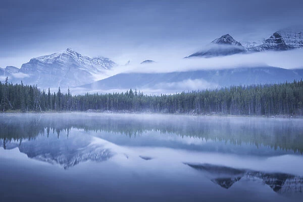 Moody misty morning at Herbert Lake in the Canadian Rockies, Banff National Park