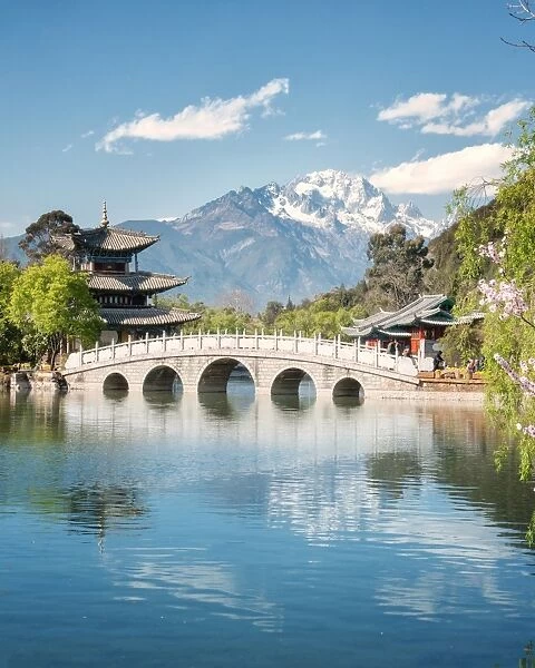 Moon Embracing Pavilion and Suocui Bridge at Black Dragon Pool in Jade Spring Park, Lijiang, Yunnan, China, Asia