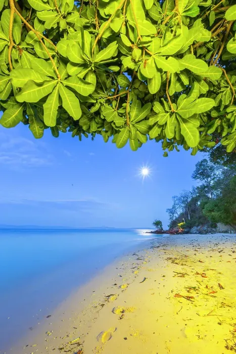 Framed Print : Full moon at Murex Bangka Dive Resort, Bangka Island, near Manado Sulawesi, Indonesia, Southeast Asia, Asia Framed Print : Full moon at Murex Bangka Dive Resort, Bangka Island, near Manado Sulawesi, Indonesia, Southeast Asia, Asia