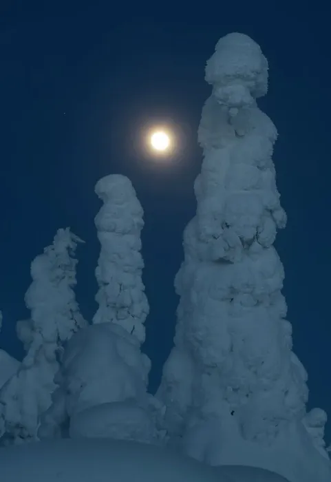 Framed Print : Full moon rising over snow covered winter landscape at twilight, tykky, Kuntivaara Fell, Finland, Europe Framed Print : Full moon rising over snow covered winter landscape at twilight, tykky, Kuntivaara Fell, Finland, Europe