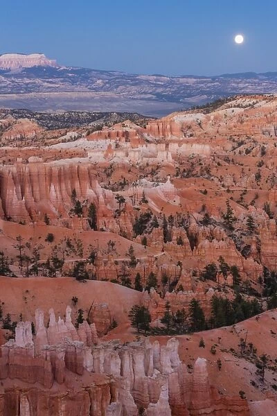 Moonrise over Bryce Canyon Amphitheater from Sunrise Point, Bryce Canyon National Park, Utah, United States of America, North America