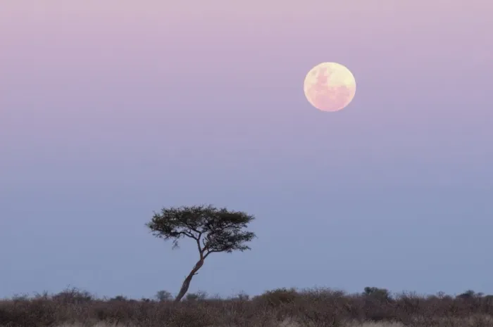 Framed Print : Moonrise, Deception Valley, Central Kalahari Game Reserve, Botswana, Africa Framed Print : Moonrise, Deception Valley, Central Kalahari Game Reserve, Botswana, Africa