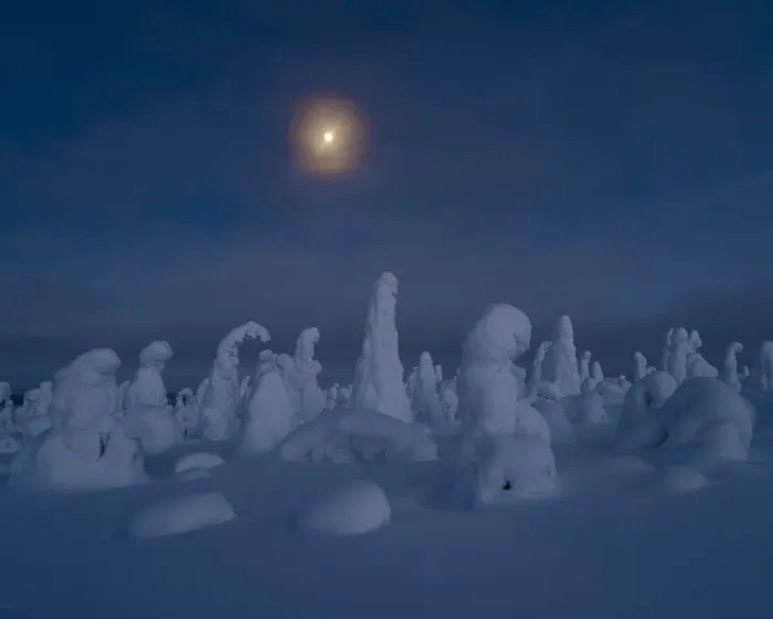 Framed Print : Moonrise over snow covered trees, Tykky, Kuntivaara, Kuusamo, Finland, Europe Framed Print : Moonrise over snow covered trees, Tykky, Kuntivaara, Kuusamo, Finland, Europe