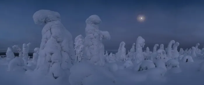 Framed Print : Moonrise over snow covered trees, Tykky, Kuntivaara, Kuusamo, Finland, Europe