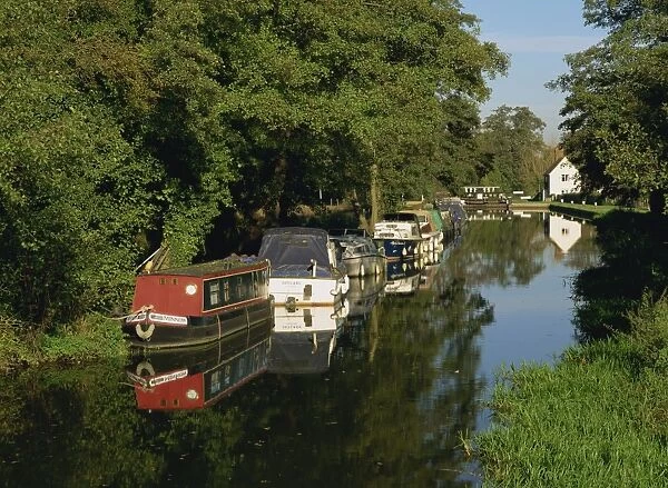 Moored boats on the Wey navigation from the south side of Craft Lock, Sutton Green