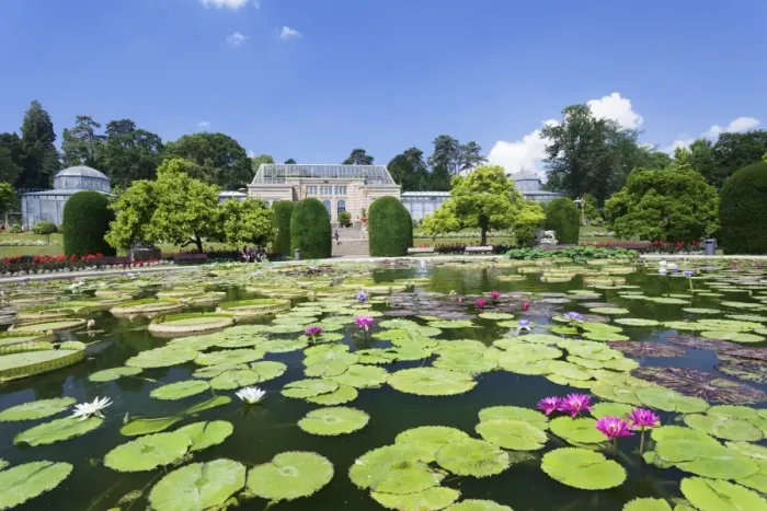 Framed Print : Moorish Garden with water lilies (genus Nymphaea), Wilhelma, Zoo and Botanical Garden, Stuttgart, Baden Wurttemberg, Germany, Europe Framed Print : Moorish Garden with water lilies (genus Nymphaea), Wilhelma, Zoo and Botanical Garden, Stuttgart, Baden Wurttemberg, Germany, Europe