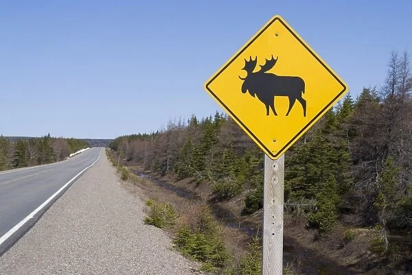 Moose sign, Cape Breton Highlands National Park, Cape Breton, Nova Scotia