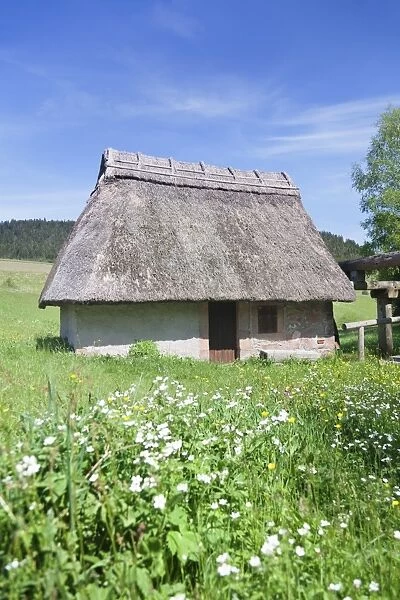 Mooswald mill, Lauterbach, Black Forest, Baden Wurttemberg, Germany, Europe