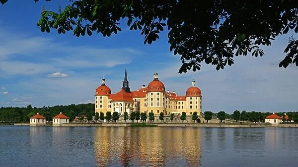 Moritzburg Castle near Dresden, Saxony, Germany, Europe