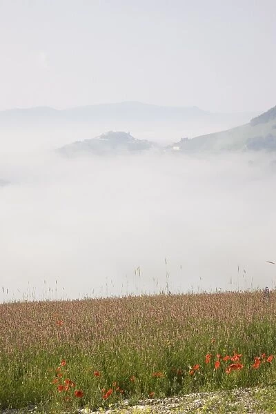 Morning fog, Castelluccio di Norcia, Highland of Castelluccio di Norcia