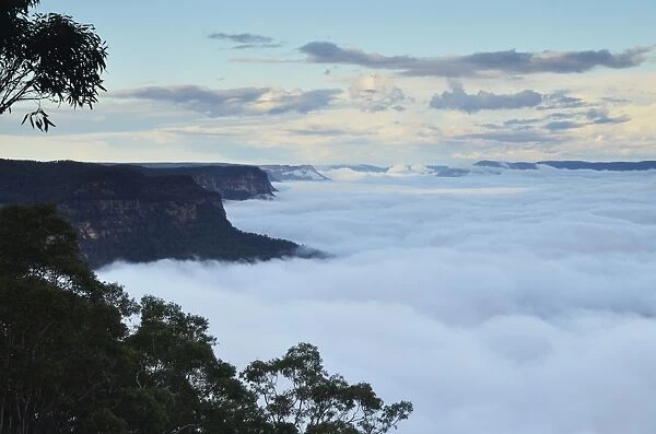 Morning fog at Lake Burragorang, Burragorang State Conservation Area, New South Wales