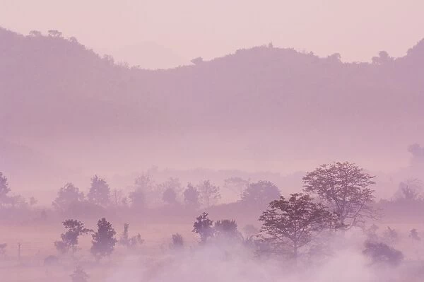 Morning fog over Mrauk U, Myanmar (Burma), Asia
