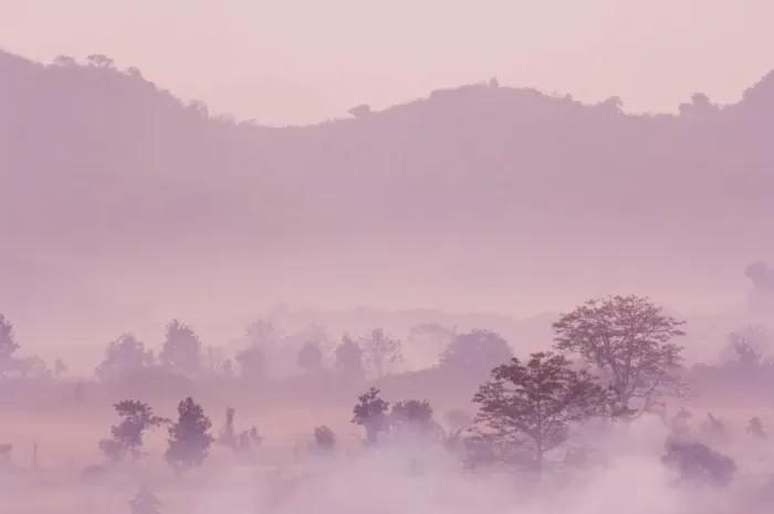 Framed Print : Morning fog over Mrauk U, Myanmar (Burma), Asia Framed Print : Morning fog over Mrauk U, Myanmar (Burma), Asia