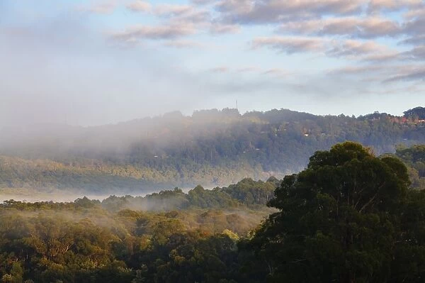 Morning fog over the Silvan Reservoir, Dandenong Ranges, Victoria, Australia, Pacific