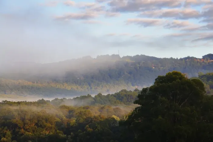 Framed Print : Morning fog over the Silvan Reservoir, Dandenong Ranges, Victoria, Australia, Pacific Framed Print : Morning fog over the Silvan Reservoir, Dandenong Ranges, Victoria, Australia, Pacific