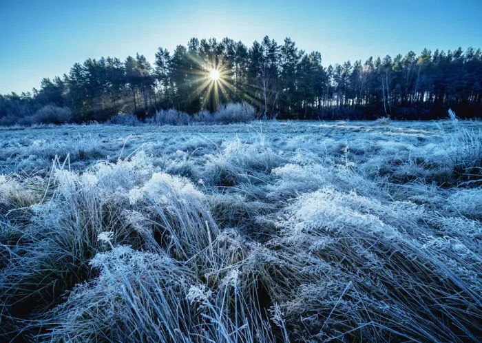 Framed Print : Morning frost in Gorajec, Lublin Voivodeship, Poland, Europe Framed Print : Morning frost in Gorajec, Lublin Voivodeship, Poland, Europe
