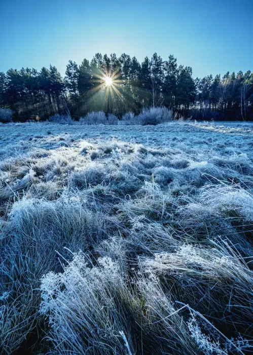 Framed Print : Morning frost in Gorajec, Lublin Voivodeship, Poland, Europe Framed Print : Morning frost in Gorajec, Lublin Voivodeship, Poland, Europe
