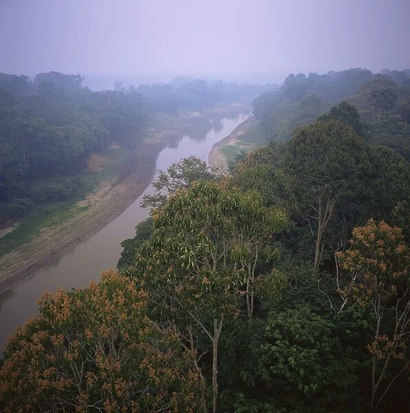 Morning mists in Rio Negro region of Amazon rainforest, Amazonas State