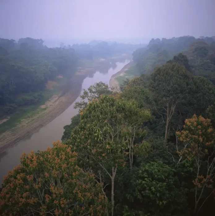 Framed Print : Morning mists in Rio Negro region of Amazon rainforest, Amazonas State Framed Print : Morning mists in Rio Negro region of Amazon rainforest, Amazonas State