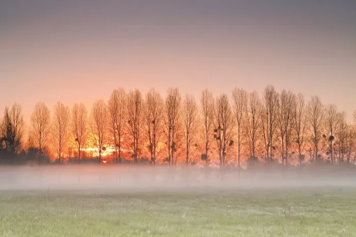 Framed Print : The morning sun lights up a band of mist, Indre-et-Loire, Centre, France, Europe Framed Print : The morning sun lights up a band of mist, Indre-et-Loire, Centre, France, Europe