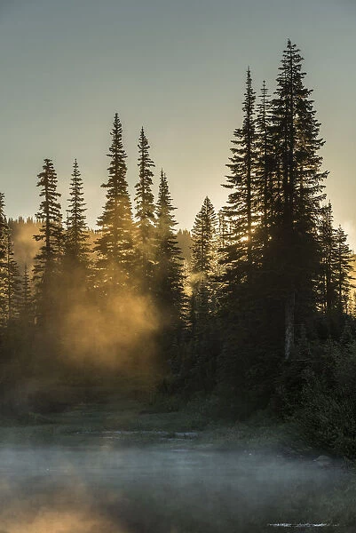 Morning sunlight and mist, Reflection Lake, Mount Rainier National Park, Washington State