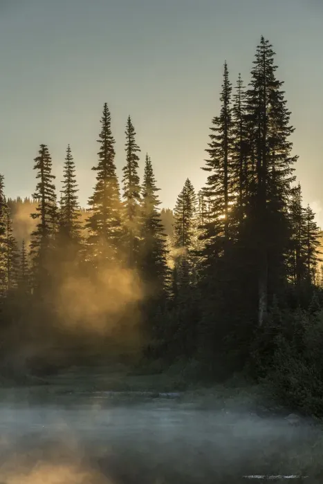 Framed Print : Morning sunlight and mist, Reflection Lake, Mount Rainier National Park, Washington State Framed Print : Morning sunlight and mist, Reflection Lake, Mount Rainier National Park, Washington State