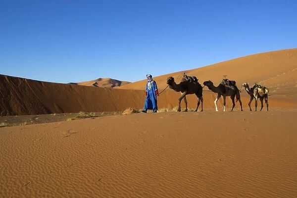 Moroccan camel driver, Dunes of Erg Chebbi, Merzouga, Meknes-Tafilalet, Morocco, North Africa, Africa