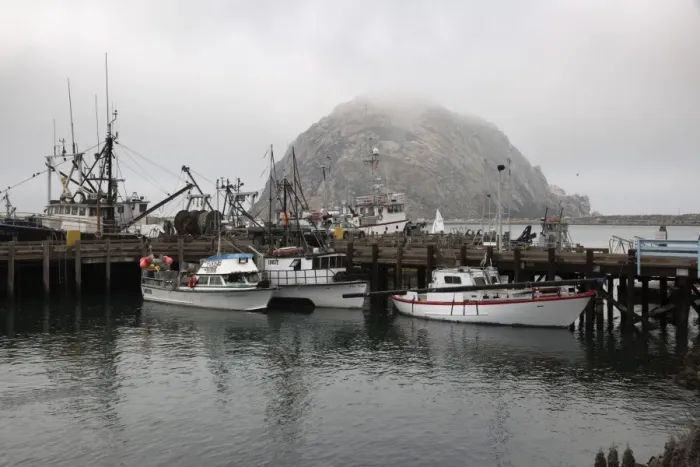 Framed Print : Morro Rock in fog, Morro Bay, San Luis Obispo County, California, United States of America, North America Framed Print : Morro Rock in fog, Morro Bay, San Luis Obispo County, California, United States of America, North America