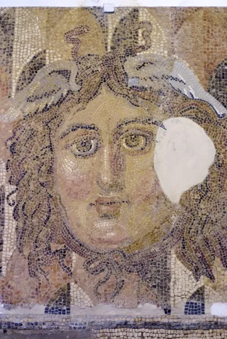 Framed Print : Mosaic, currently in the museum, taken from the Greek and Roman site of Cyrene Framed Print : Mosaic, currently in the museum, taken from the Greek and Roman site of Cyrene