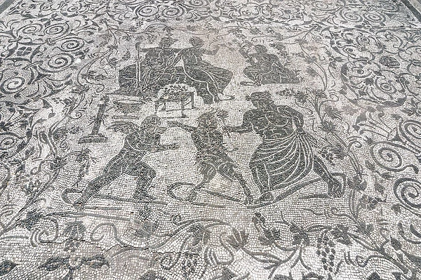 Mosaic di Bacco e Arianna, Block of Bacchus and Arianna, Ostia Antica archaeological site