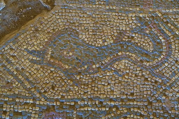Mosaic of dolphin from Temple to Athena, Soloi, North Cyprus, Cyprus, Europe