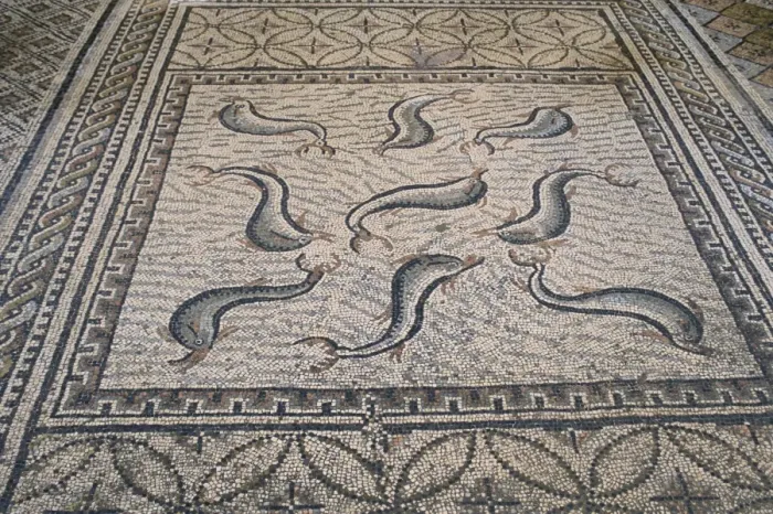Framed Print : Mosaic floor Framed Print : Mosaic floor