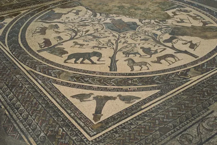 Framed Print : Mosaic floor Framed Print : Mosaic floor