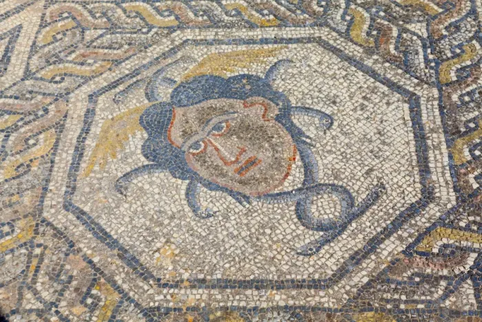 Framed Print : Mosaic detail from the House of Dionysus, Volubilis, UNESCO World Heritage Site, Morocco, North Africa, Africa Framed Print : Mosaic detail from the House of Dionysus, Volubilis, UNESCO World Heritage Site, Morocco, North Africa, Africa