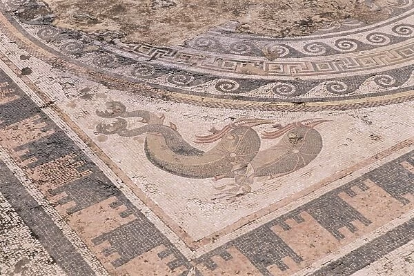Mosaic in the House of the Dolphins