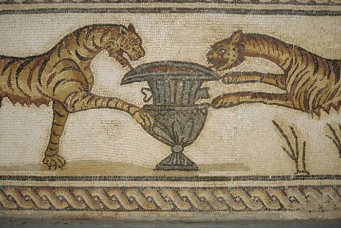 Framed Print : Mosaic in museum, Tolmeita, Libya, North Africa, Africa Framed Print : Mosaic in museum, Tolmeita, Libya, North Africa, Africa