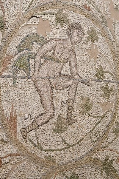 Mosaic, Nicopolis Roman city, Epiros, Greece, Europe