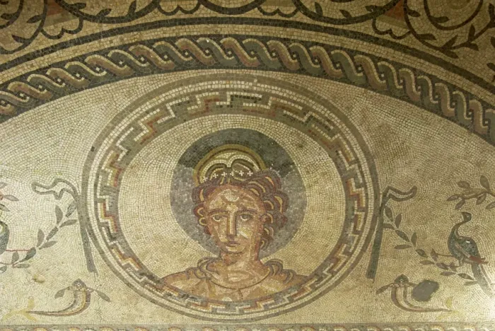 Framed Print : Mosaic of Venus, Bignor Roman villa, West Sussex, England, United Kingdom, Europe Framed Print : Mosaic of Venus, Bignor Roman villa, West Sussex, England, United Kingdom, Europe