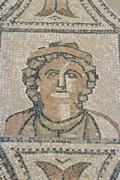 Mosaic, Volubilis