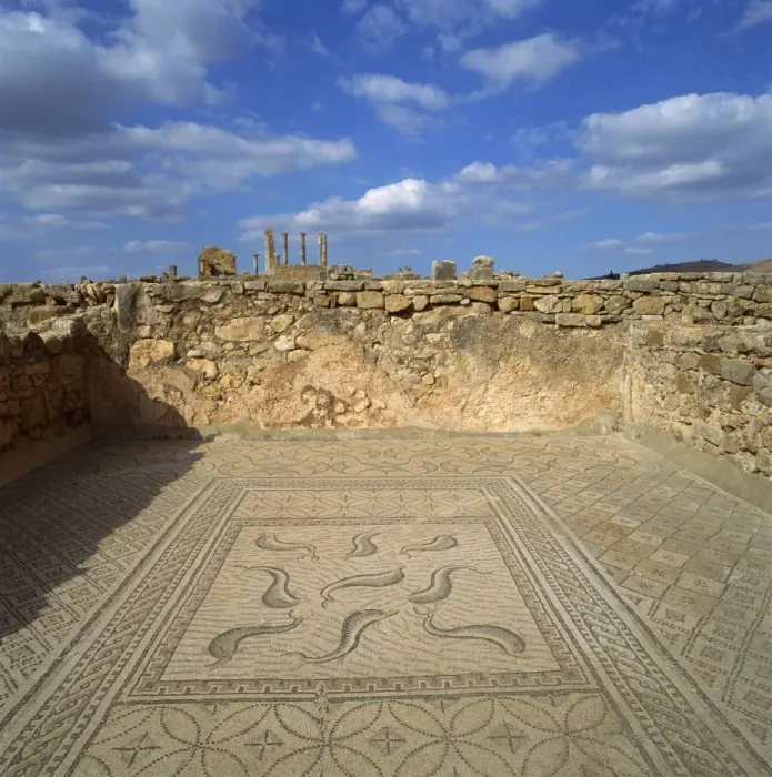 Framed Print : Mosaics from the 3rd century Roman city of Volubilis Framed Print : Mosaics from the 3rd century Roman city of Volubilis