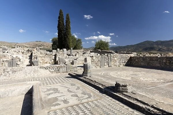 Mosaics in the Roman city of Volubilis, UNESCO World Heritage Site, near Moulay Idris