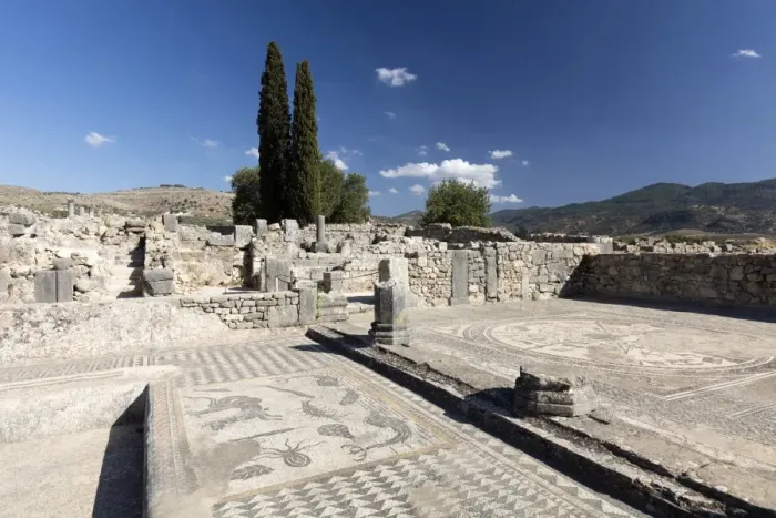 Framed Print : Mosaics in the Roman city of Volubilis, UNESCO World Heritage Site, near Moulay Idris Framed Print : Mosaics in the Roman city of Volubilis, UNESCO World Heritage Site, near Moulay Idris