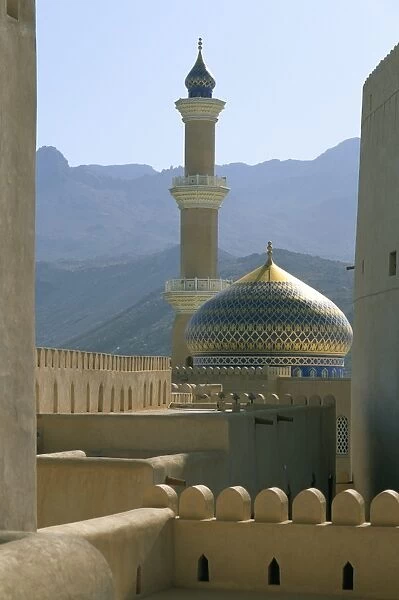 The mosque seen from the fort